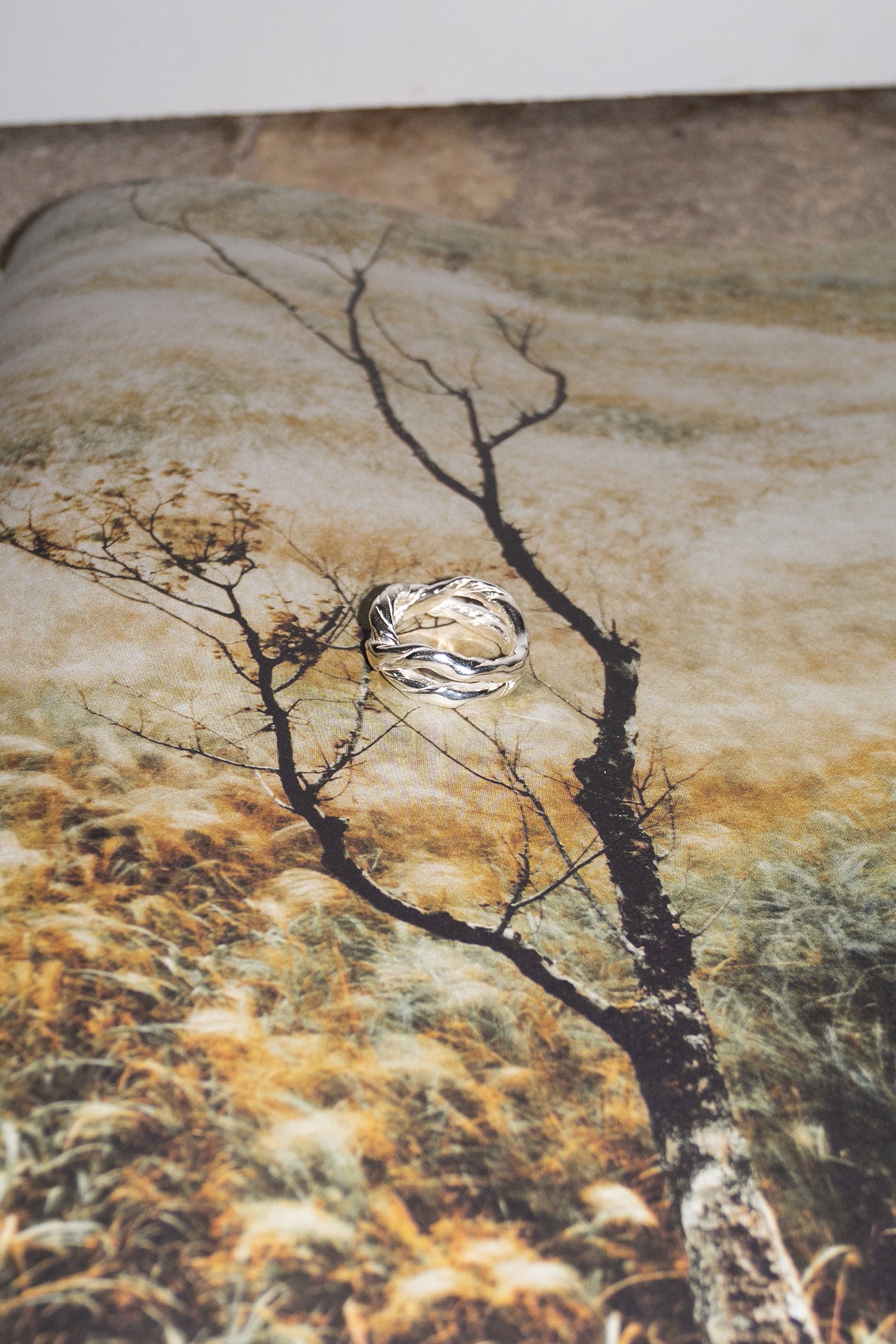 CORALI, Otto Ring