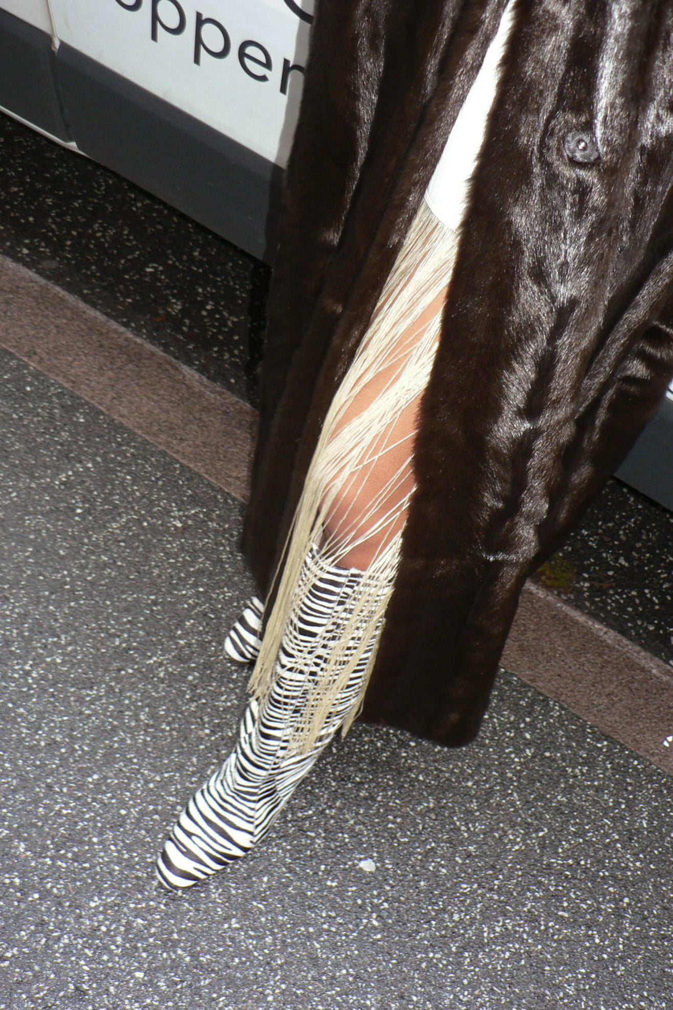 MR. LARKIN, Bane Boot, Ponyhair Zebra