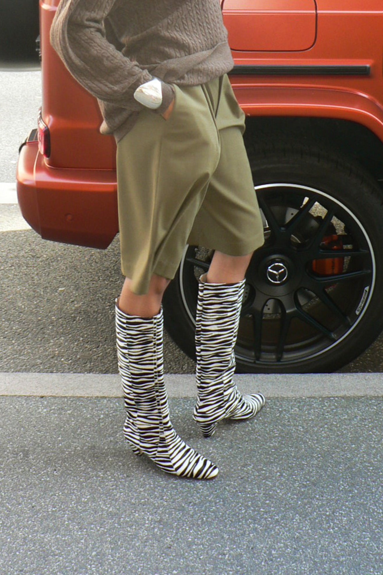 MR. LARKIN, Bane Boot, Ponyhair Zebra