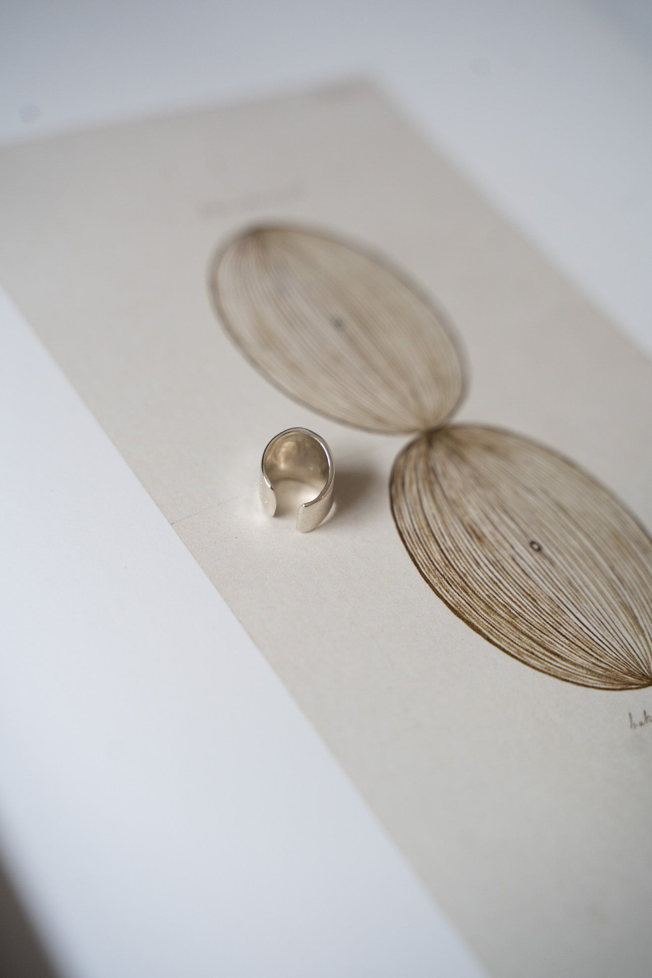 FARIS, Bubble Ear Cuff Small, Silver