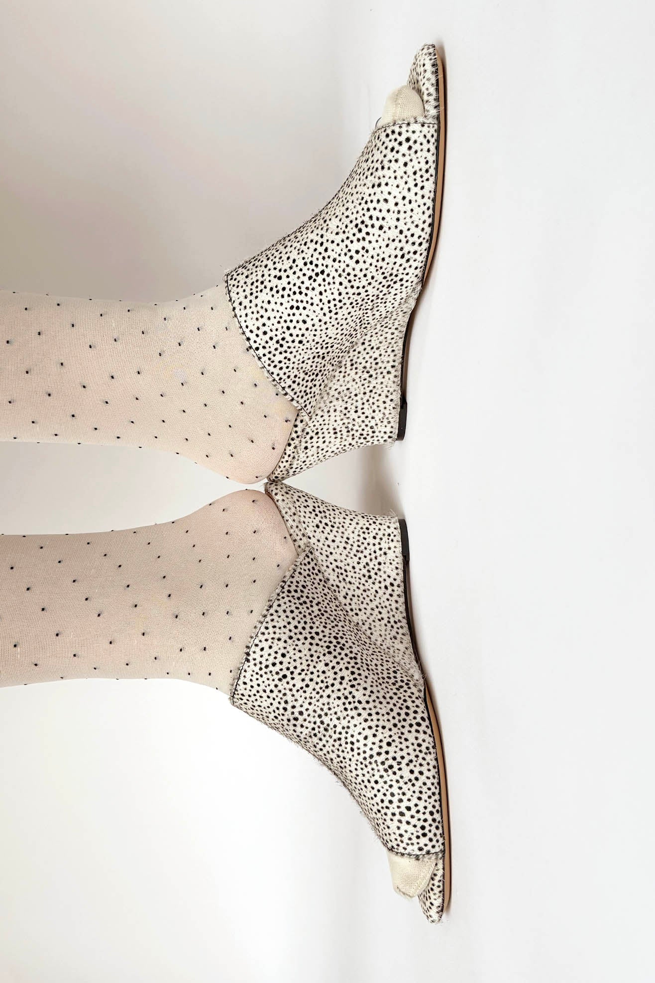 MR. LARKIN, Elliott Wedge, Ponyhair Tiny Cheetah