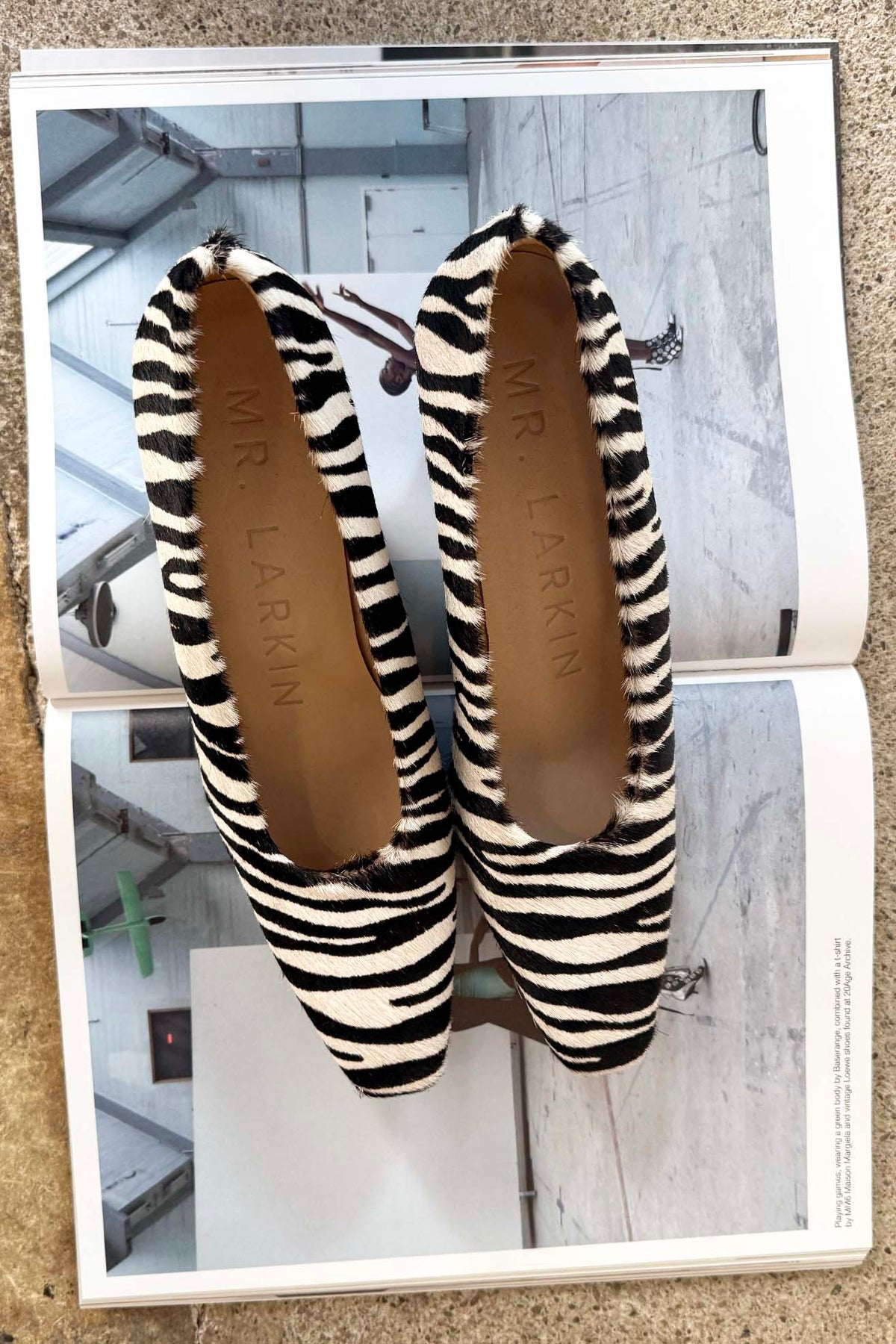 MR. LARKIN, Herring Heel, Ponyhair Zebra Small