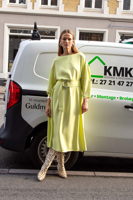 MR. LARKIN, Orla Dress, Citron