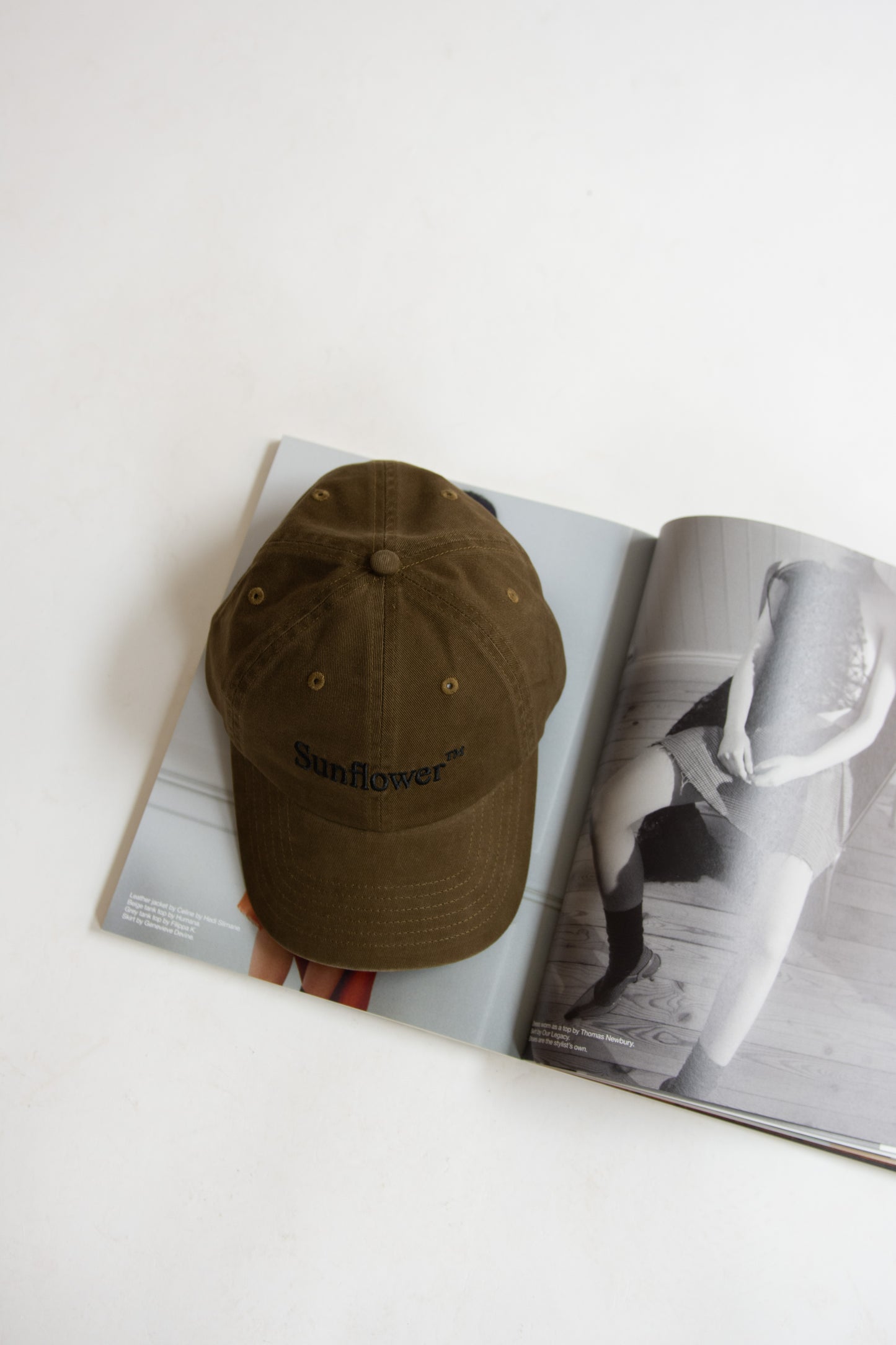 Sunflower, Logo dad cap washed twill, Brown